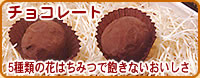 5種類の花はちみつで飽きないおいさしチョコレート